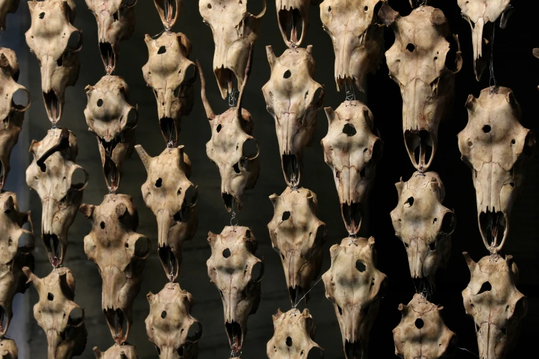 many animal heads with teeth hang on chains