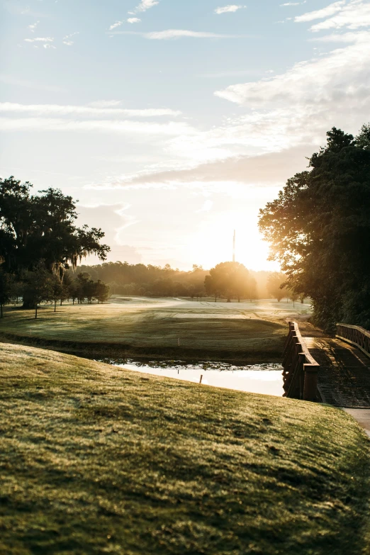 a grassy park with a large pond and small bridge in the distance