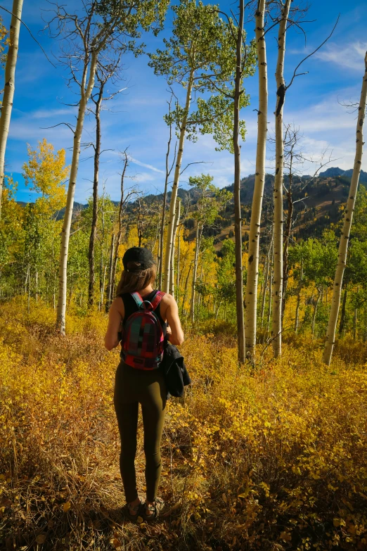 a lady stands in the woods with her back turned