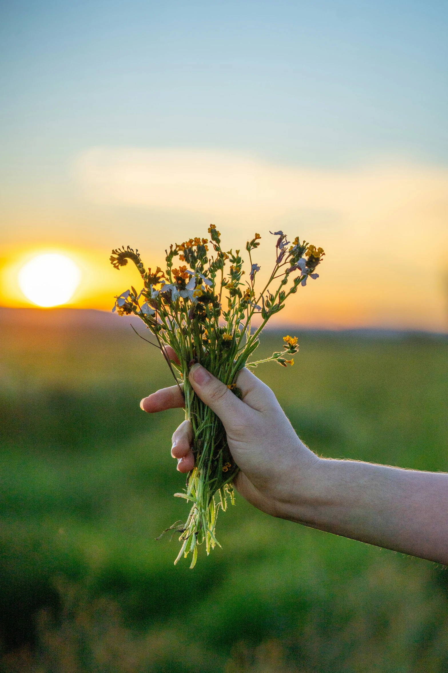 a person is holding flowers at the sunset