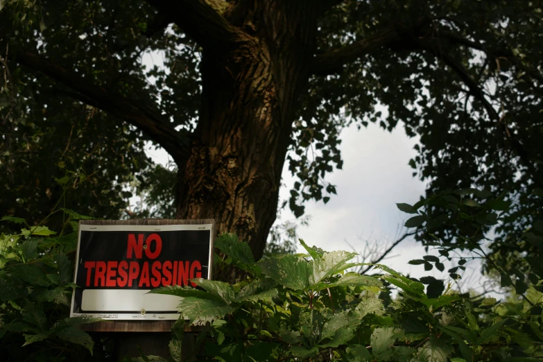 no trespassing sign with a tree in the background