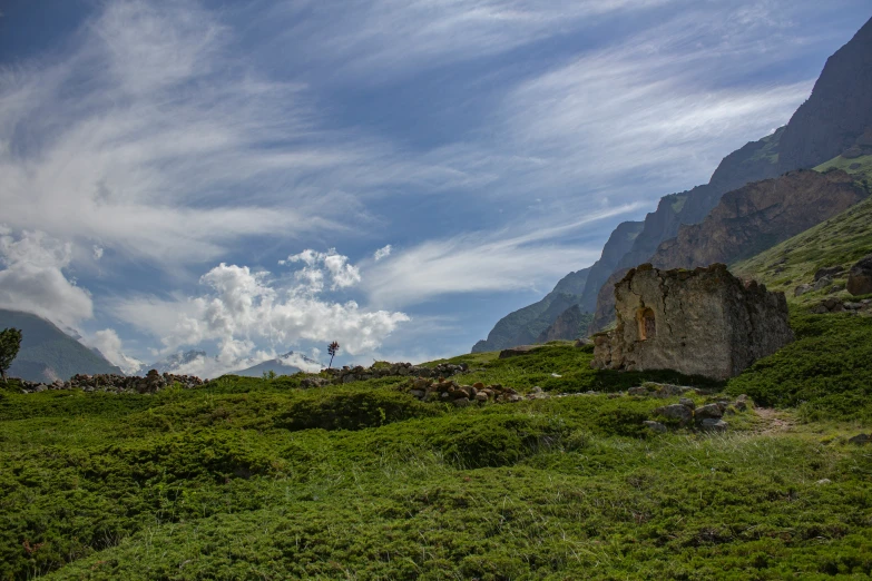 green grass and large mountains and blue sky