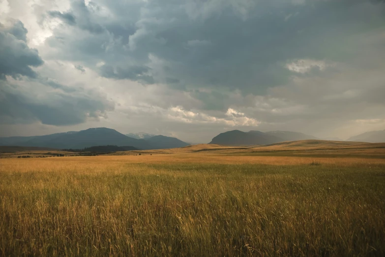 an empty field with mountains in the background