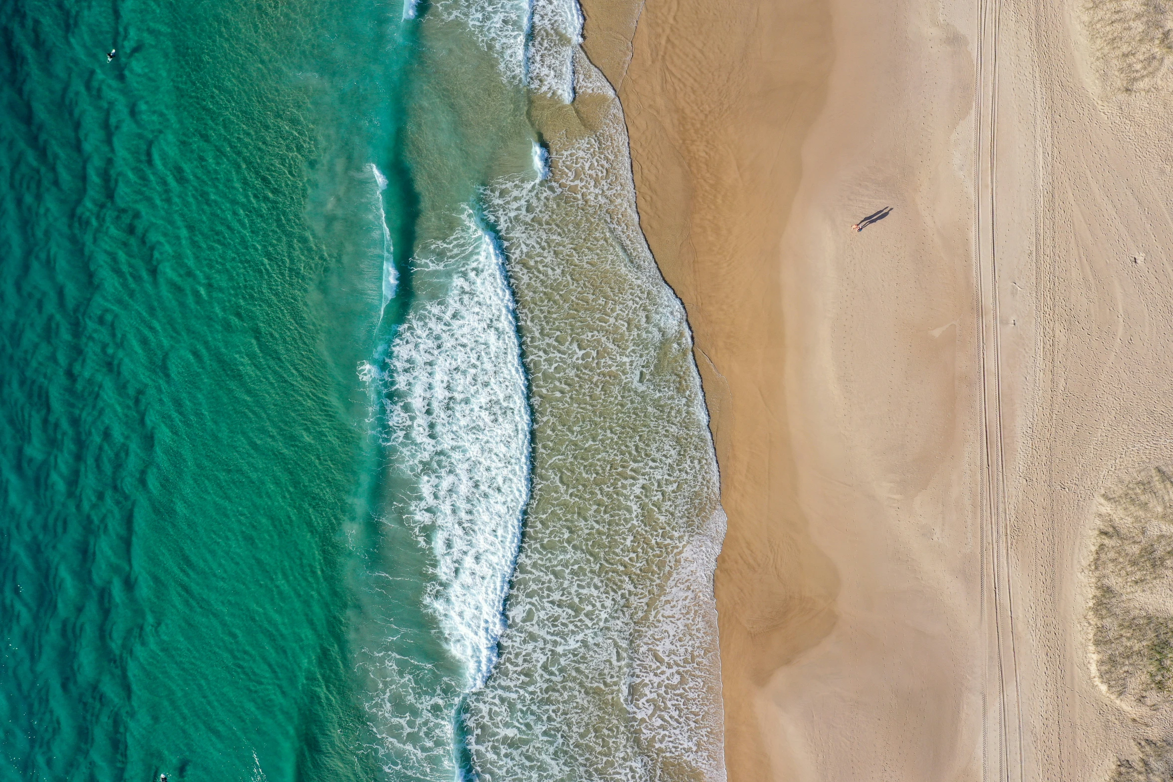 two men are on the shore of the beach