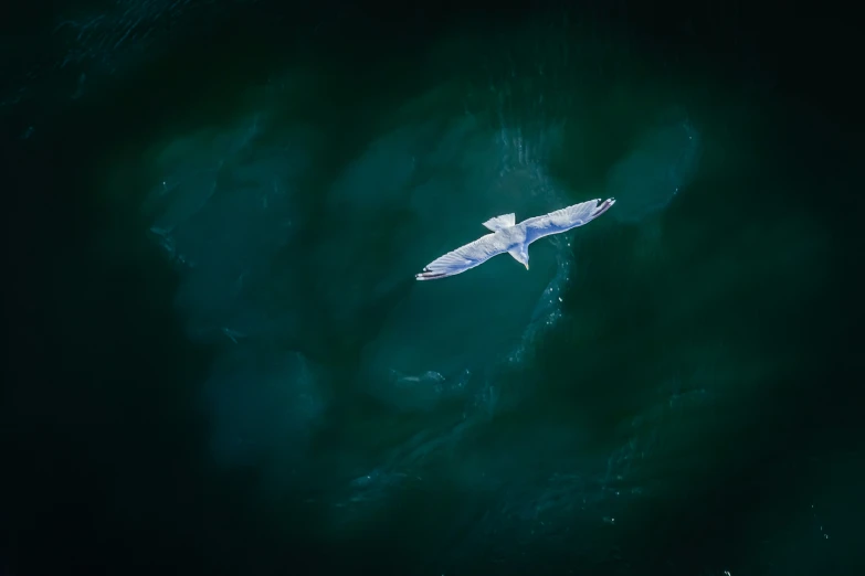 a white surf board floating on top of the ocean