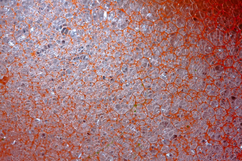 an orange background that is made of glass