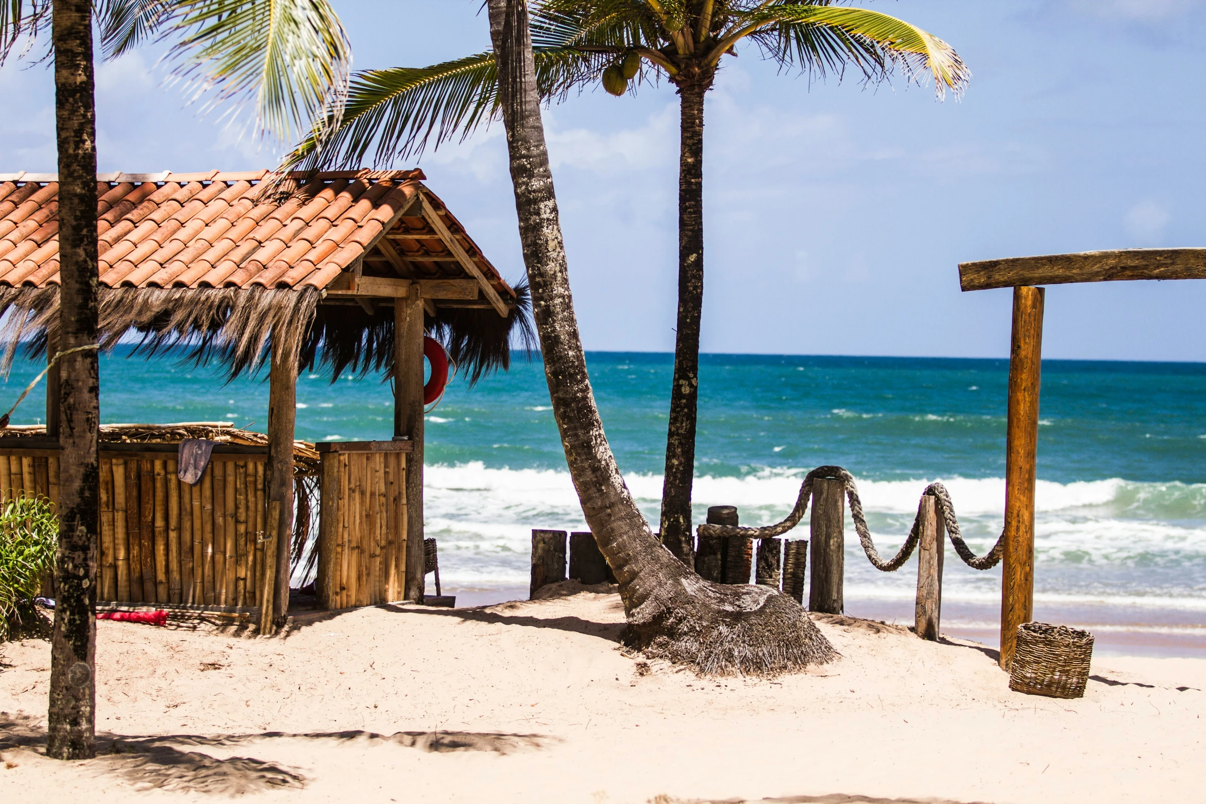 palm trees next to a lifeguard hut on the beach