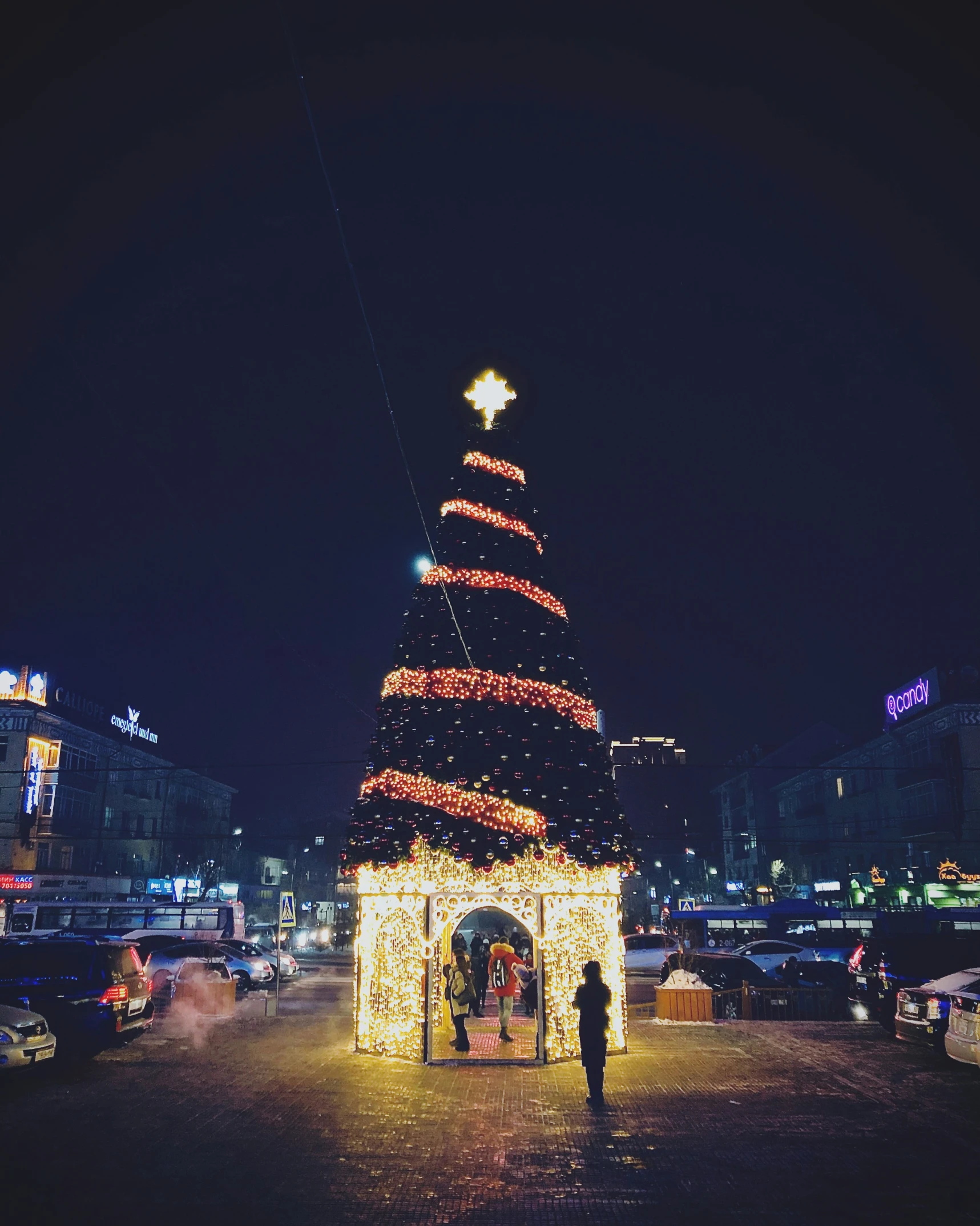 a very big and nice decorated tree in the city