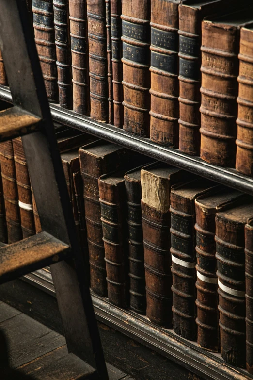 many brown books on shelves with a ladder