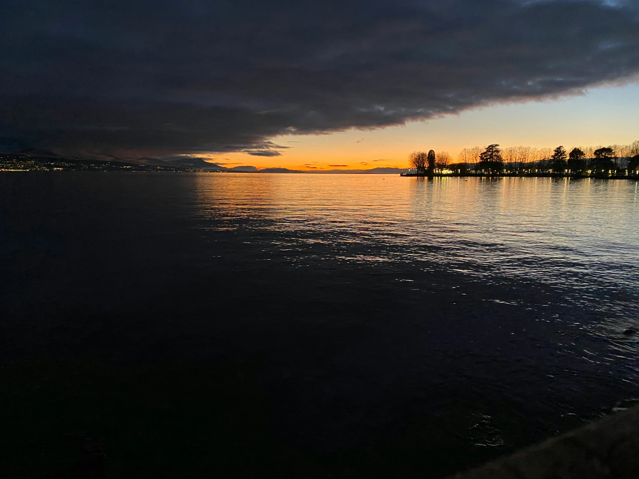 a view of a large body of water with some trees in the background