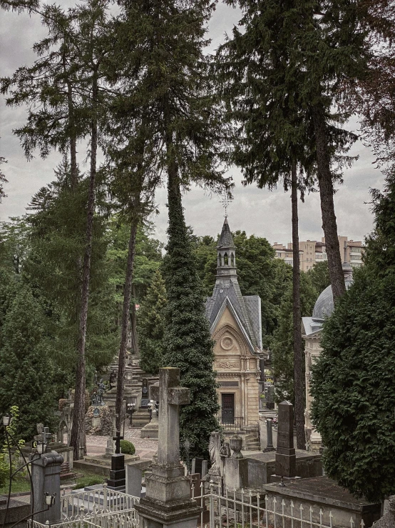 a cemetery with many headstones and trees