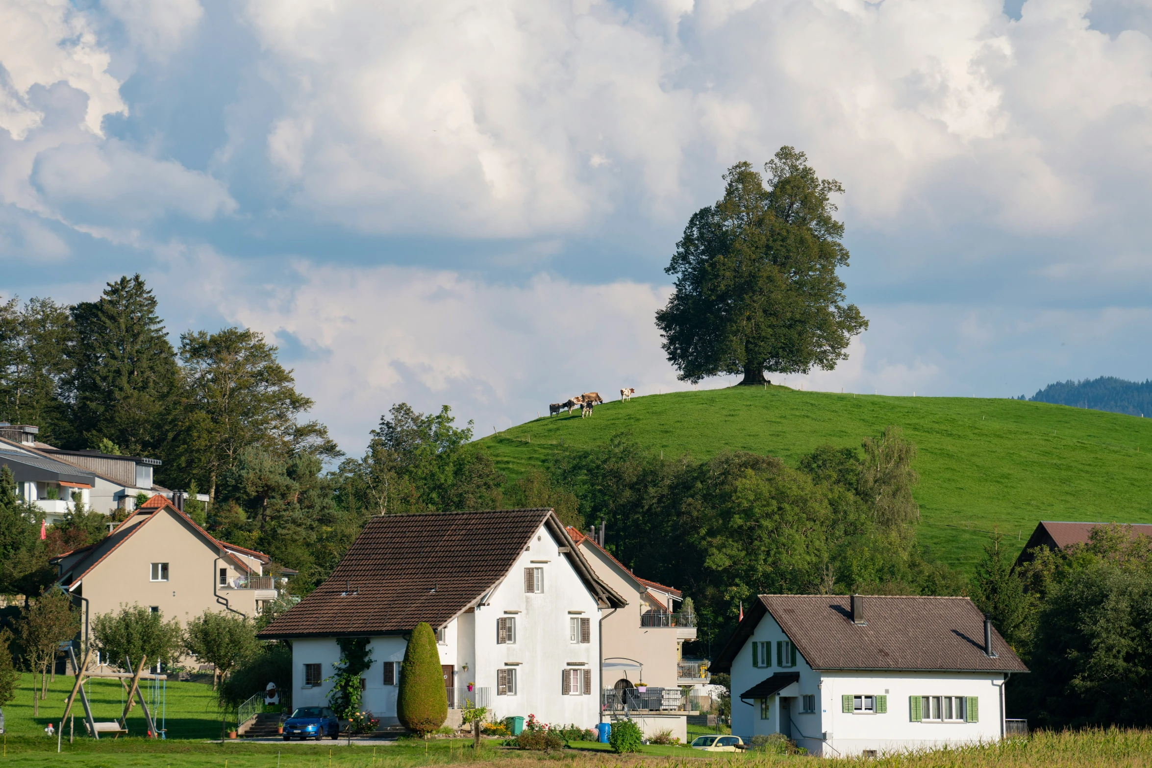 small rural houses sit on a hill