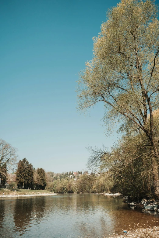 a lone bench is sitting near the lake