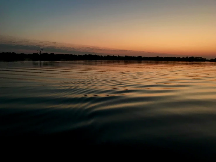 water with the sun reflecting off of it and trees in the background