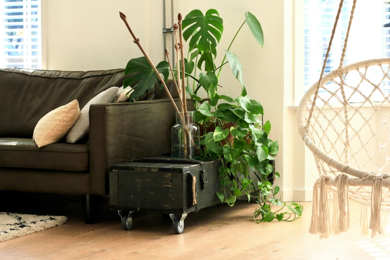 this is an indoor living room with plants