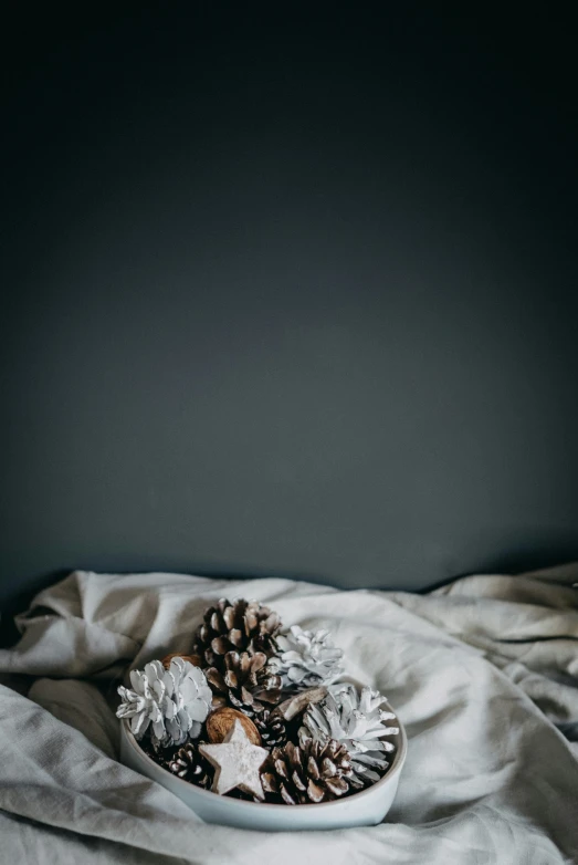 white bowl of various types of pine cones