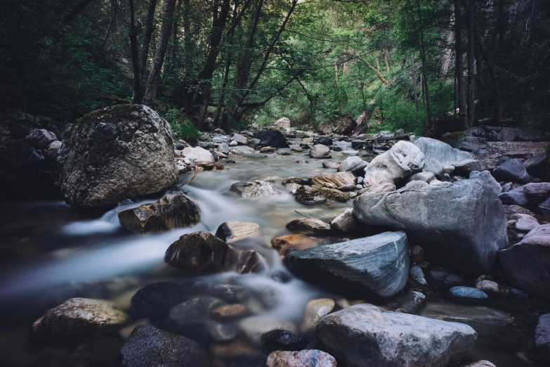 a stream in the woods flowing between rocks