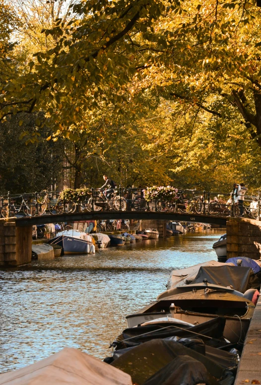 boats tied up along a sidewalk along a river under a bridge