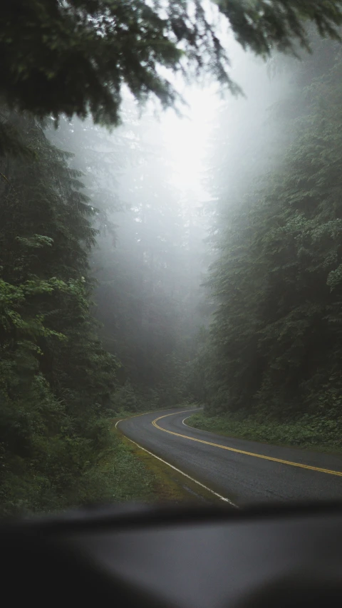 a view from inside a car of trees and the road