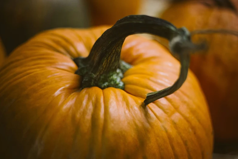 several large pumpkins lined up on a table