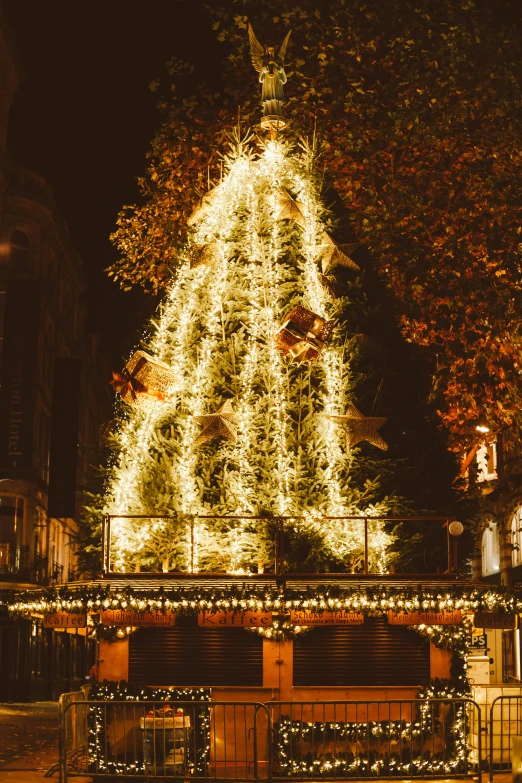 a lit christmas tree next to a large building with christmas decorations