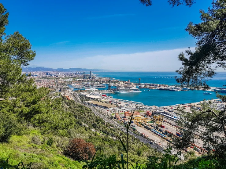 the view of the city and a harbor from near a forest