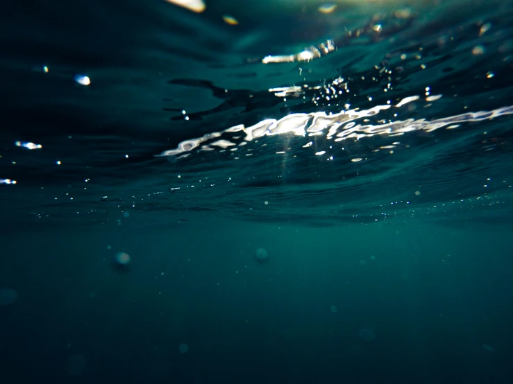 water bubbles above and under the surface of the ocean