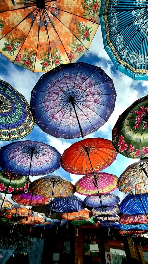 various umbrellas are seen in this image