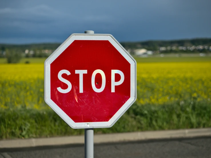 a stop sign at a city intersection with yellow flowers in the background