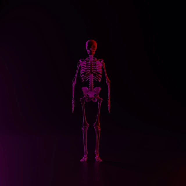 a skeleton with muscles exposed standing on the ground