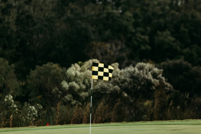 a black and yellow checkered flag sticking out from a green