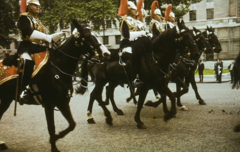 a group of people riding on the back of horses