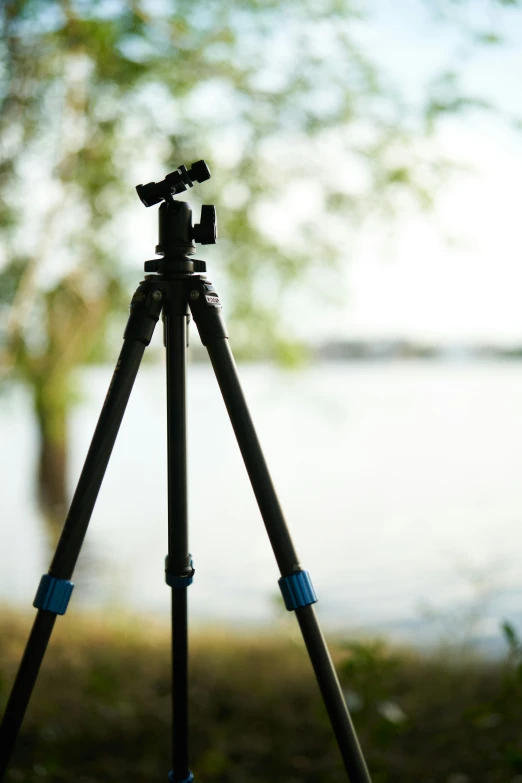 the tripod is attached to a camera by a tree