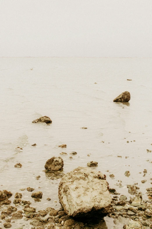 rocks sitting in the water on a beach