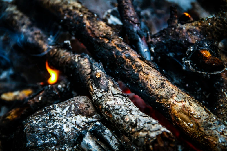 fire and wood with bright flames in background