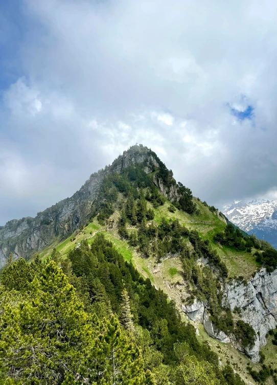 a green mountain with trees and white snow