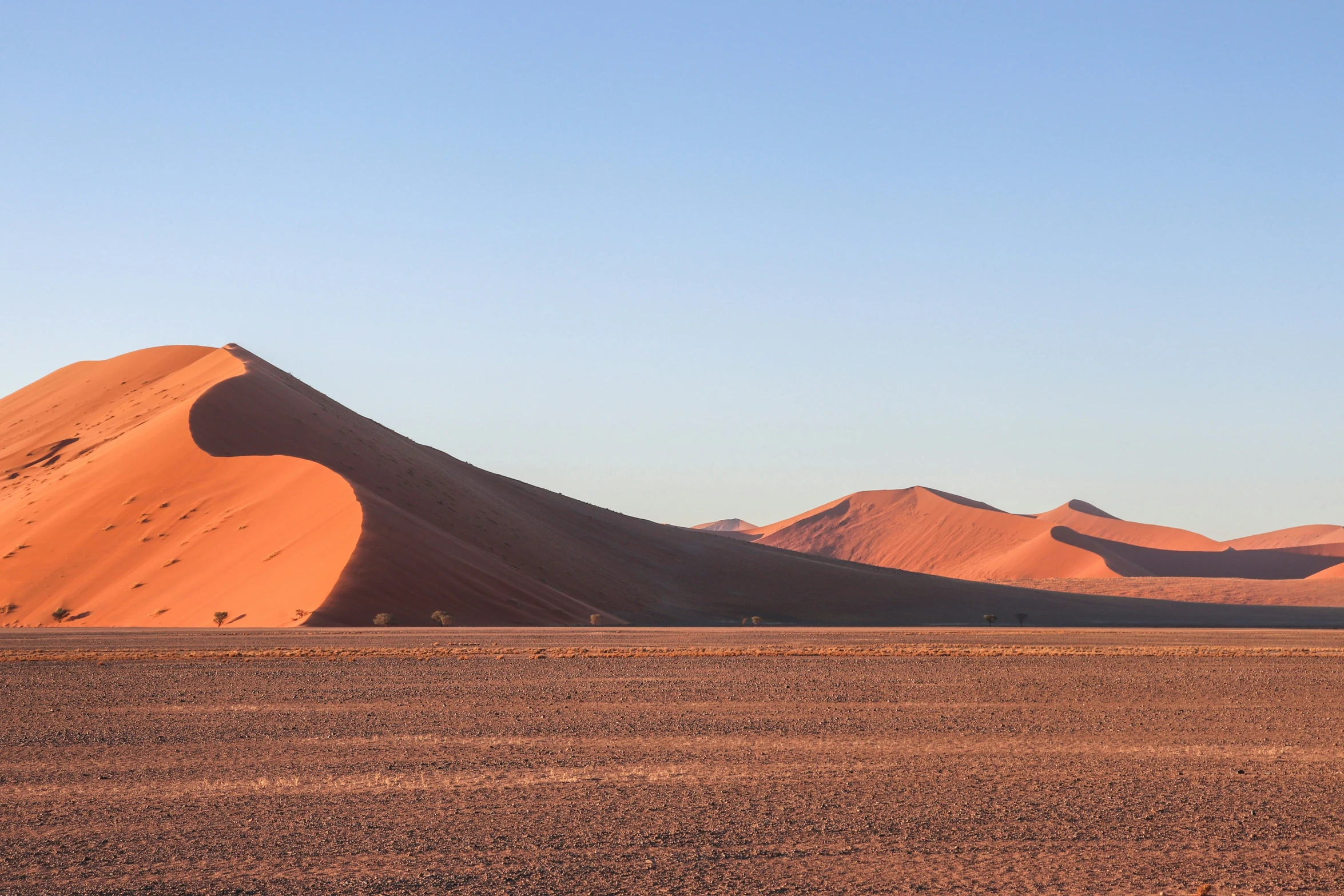 a desert plain under a blue sky in the middle of the day