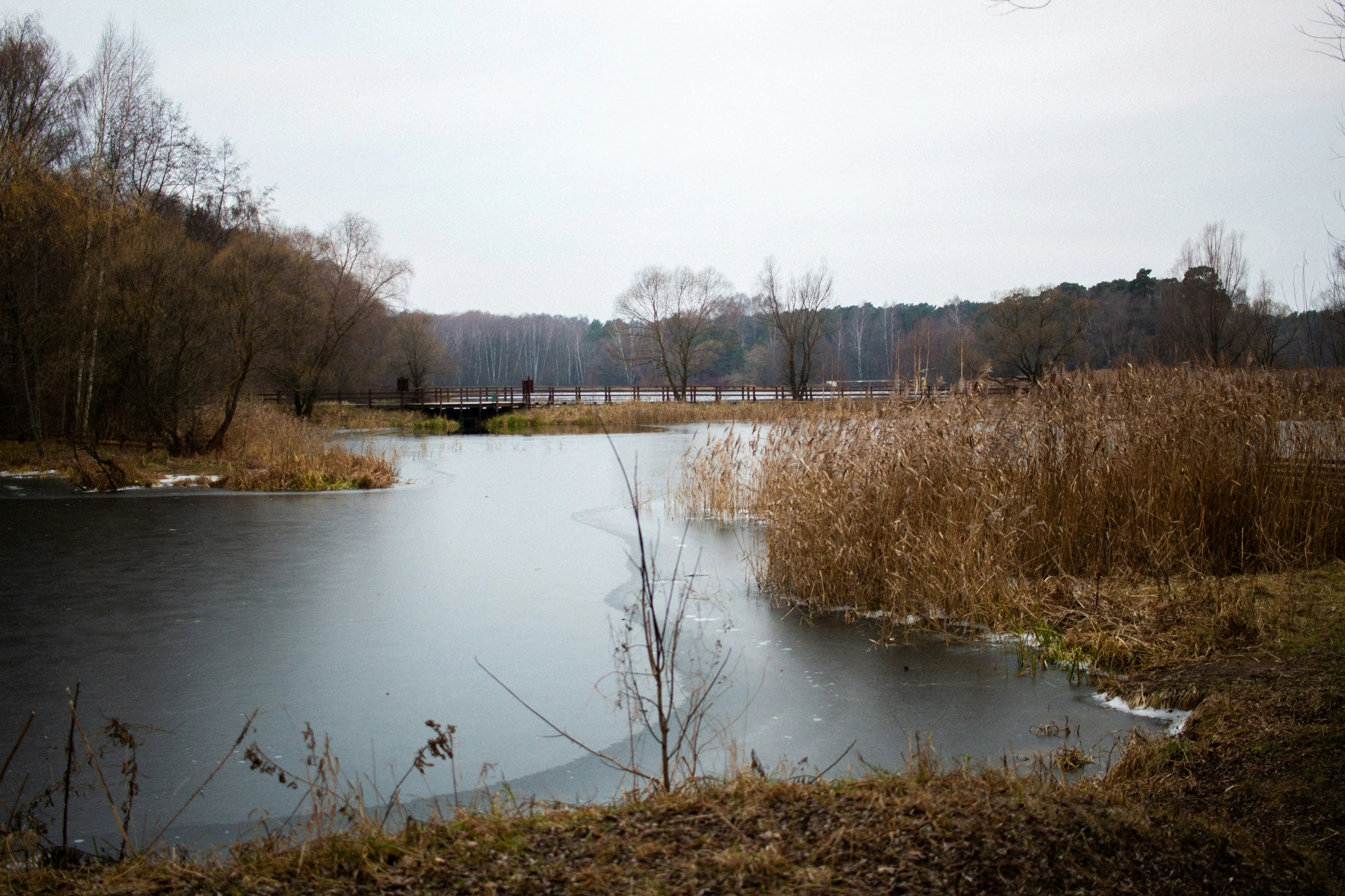 this is a lake with water under a bridge