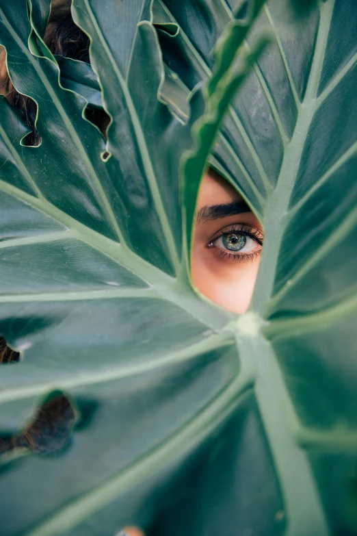 a close up of an eye surrounded by plants