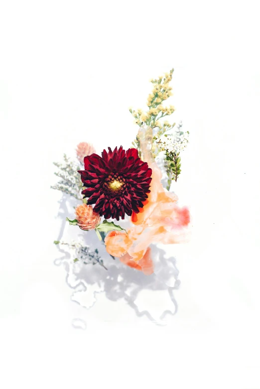 an arrangement of flowers with leaves on a white background