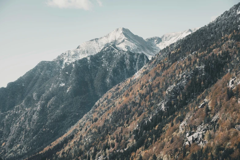 a mountain covered in snow near a forest