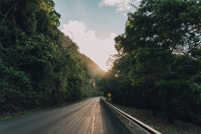 a paved road with a couple signs and trees