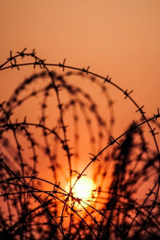 the sun is setting through some barbed wire