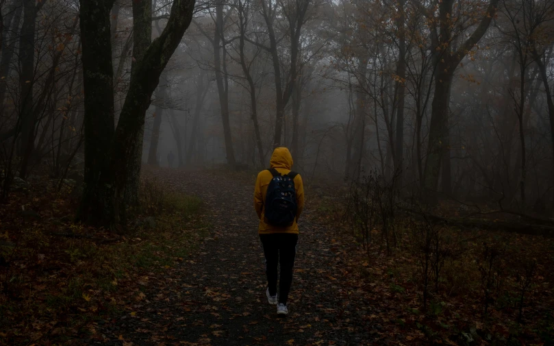 a person with a backpack walking through a wooded area