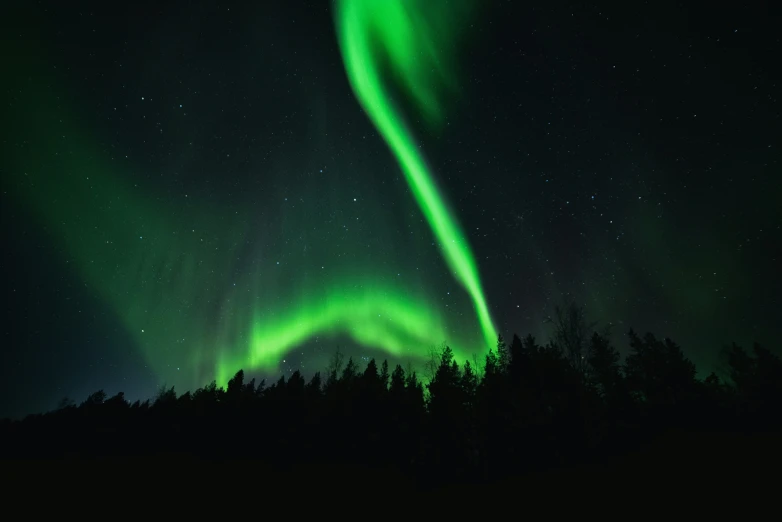 a beautiful aurora bore, dancing over a forest