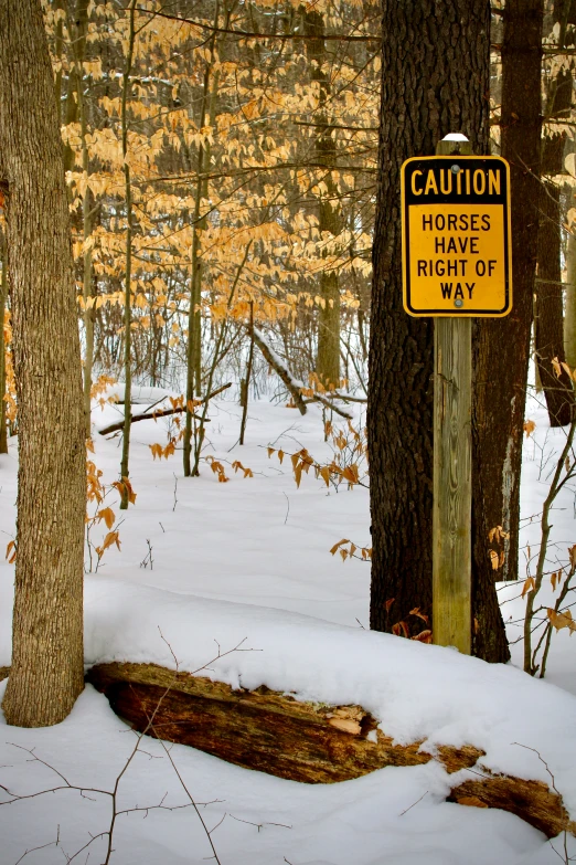 caution signs are on trees in the snow