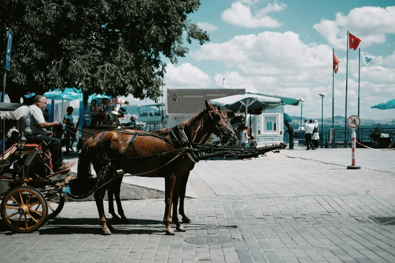 the horses are pulling the carriage with them in the street