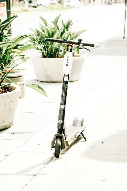 the scooter has a rear wheel leaning against a plant