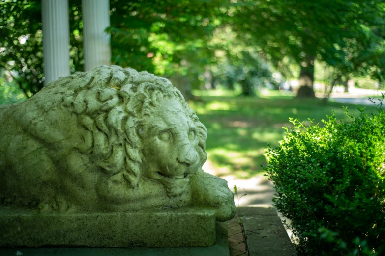 a lion statue is next to a hedge