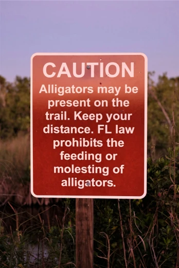 a sign with a message stating that alligators may be present on the trail